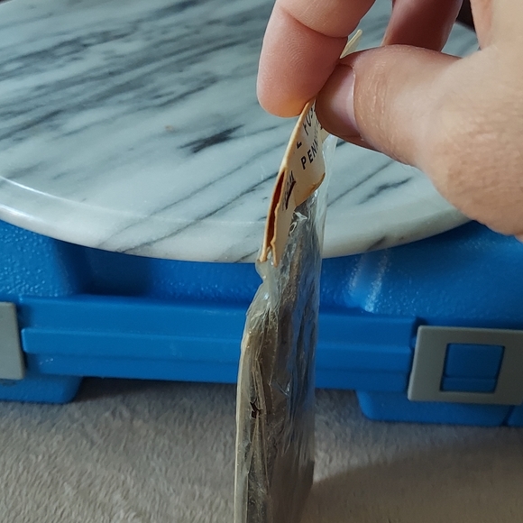 Fern Fossil 2 - Picture 5 of 9